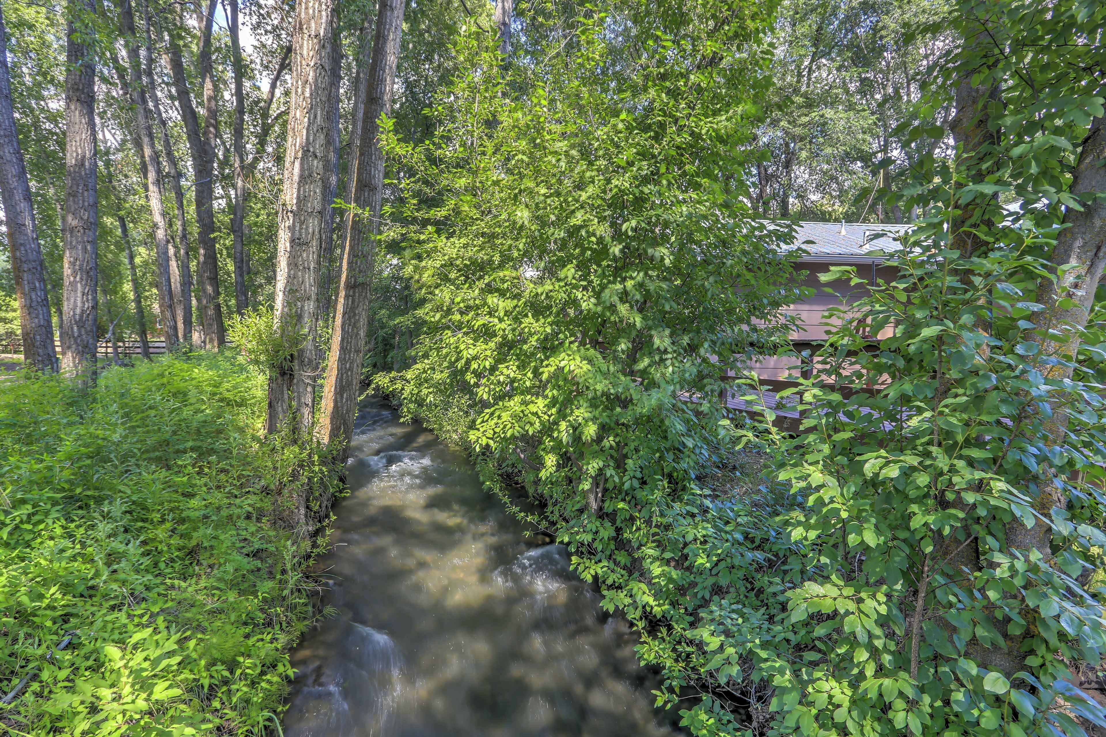 Ein schmaler Fluss schlängelt sich durch ein bewaldetes Gebiet mit dichtem Blattwerk und Bäumen.