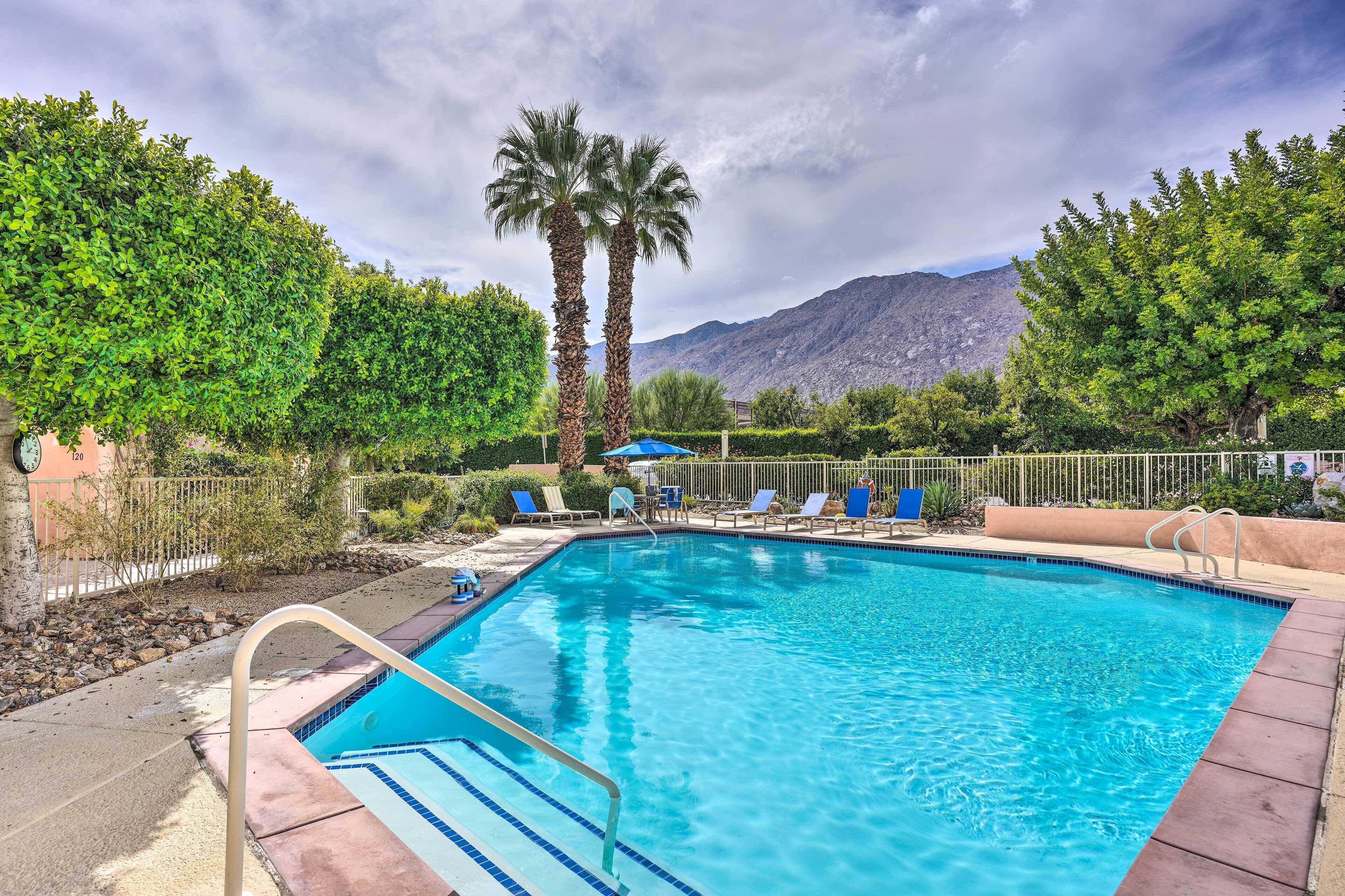A swimming pool with blue tiles, surrounded by palm trees and greenery, with a mountain in the background.