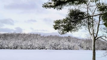 A snowy landscape with trees and a clear sky.
