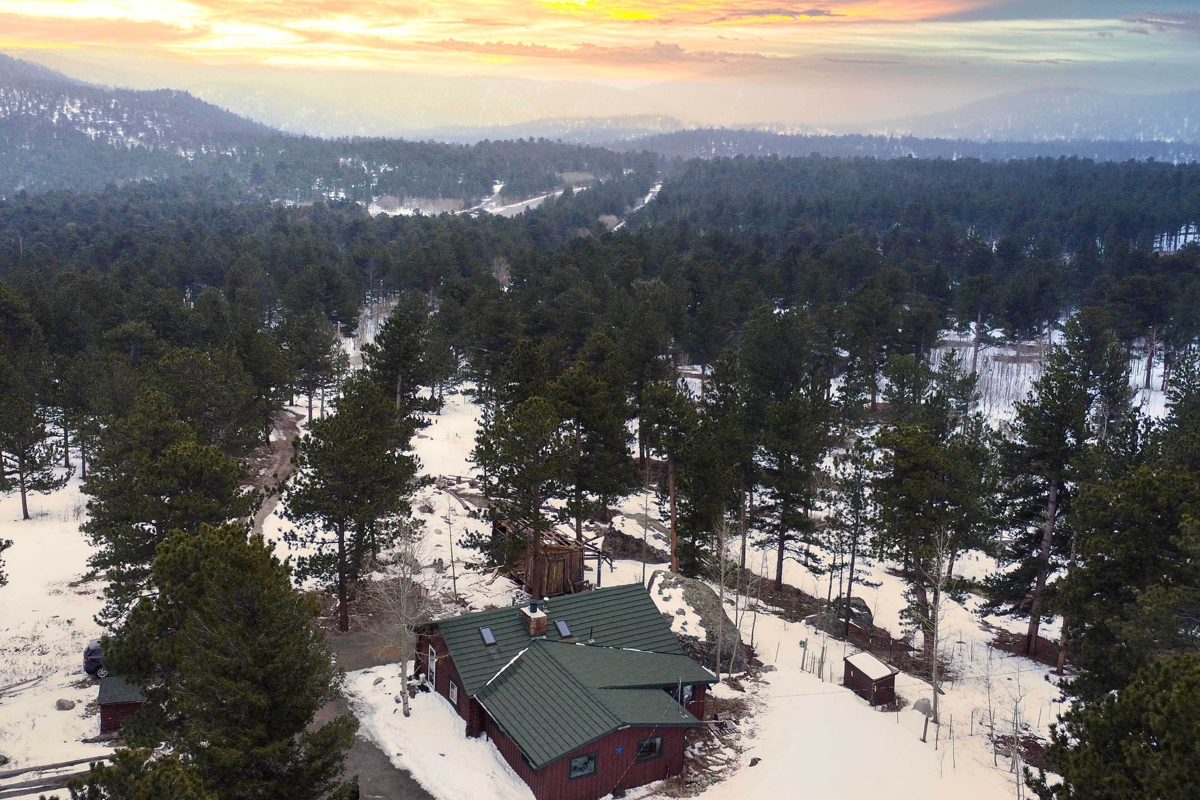 Una cabaña con techo verde rodeada de terreno y árboles cubiertos de nieve.