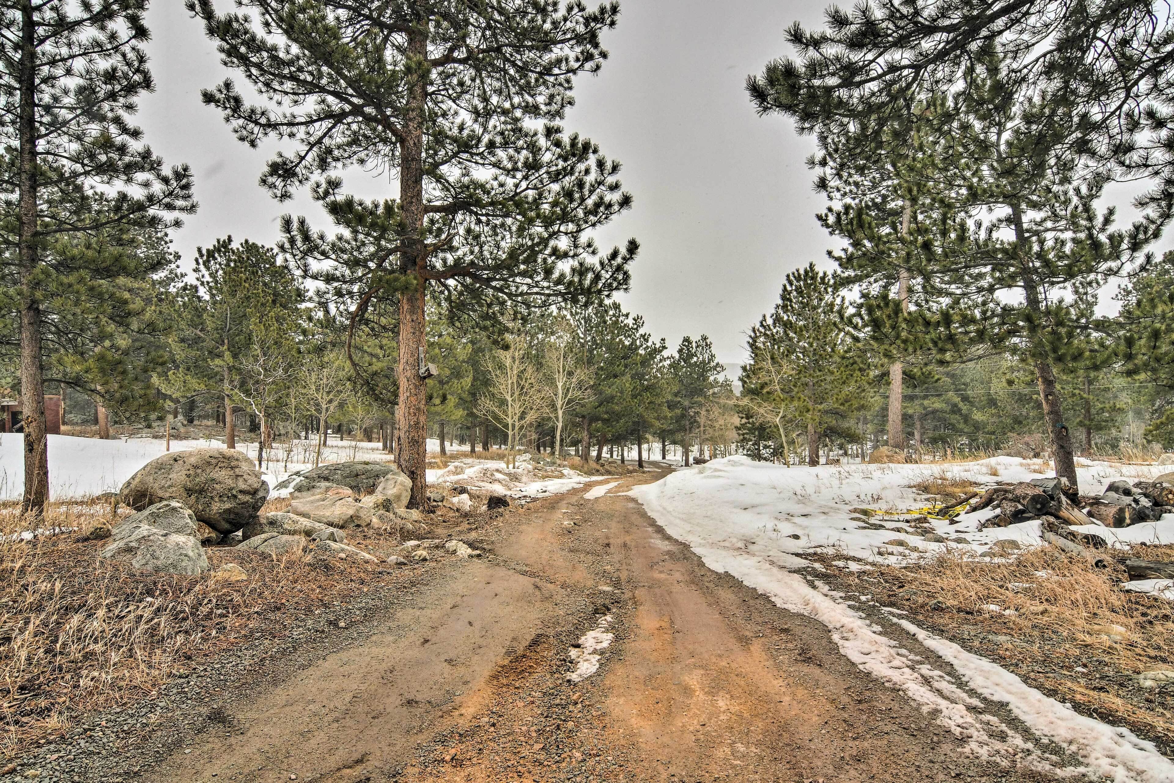 Camino de tierra rodeado de pinos y rocas, con nieve en el suelo.