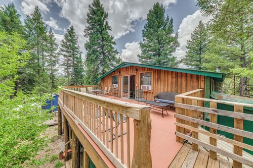 Cozy Mountaintop Retreat < 6 Mi to Ski Cloudcroft!