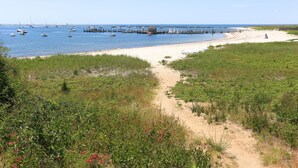 Beach - Waterfront Hyannis Gem: Walk to Hyannis Port Beach (Hyannis)