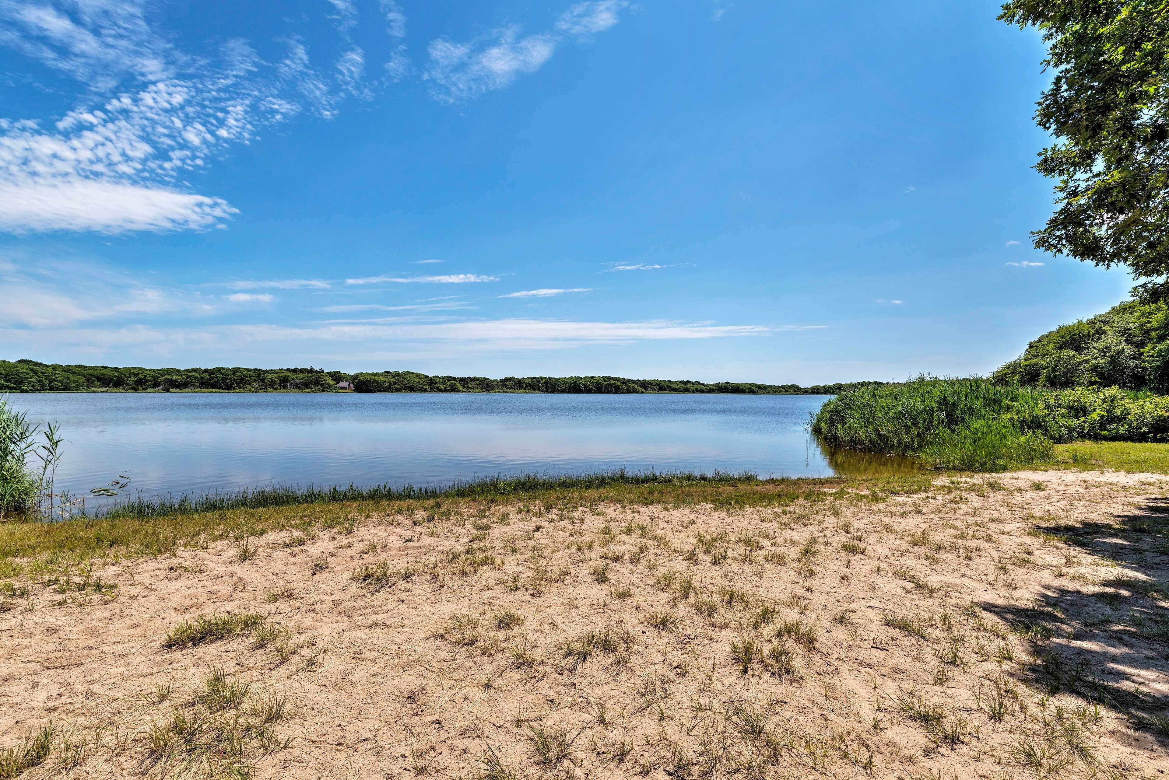 A sandy beach with a calm lake and dense greenery in the background.
