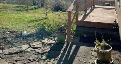 Riverside cabin in NRG National Park & Preserve