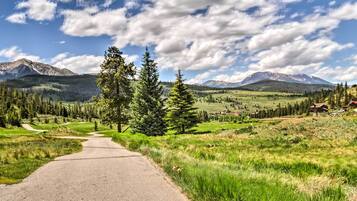 Lejlighed (1 Bedroom) | Interiør