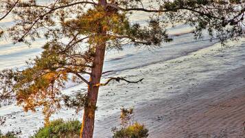 Apartment (0 Bedroom) | Interior