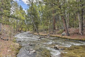 A river flowing through a forested area with trees and rocks. - Casa Immaculata on Chalk Creek w/ Views! (Nathrop)