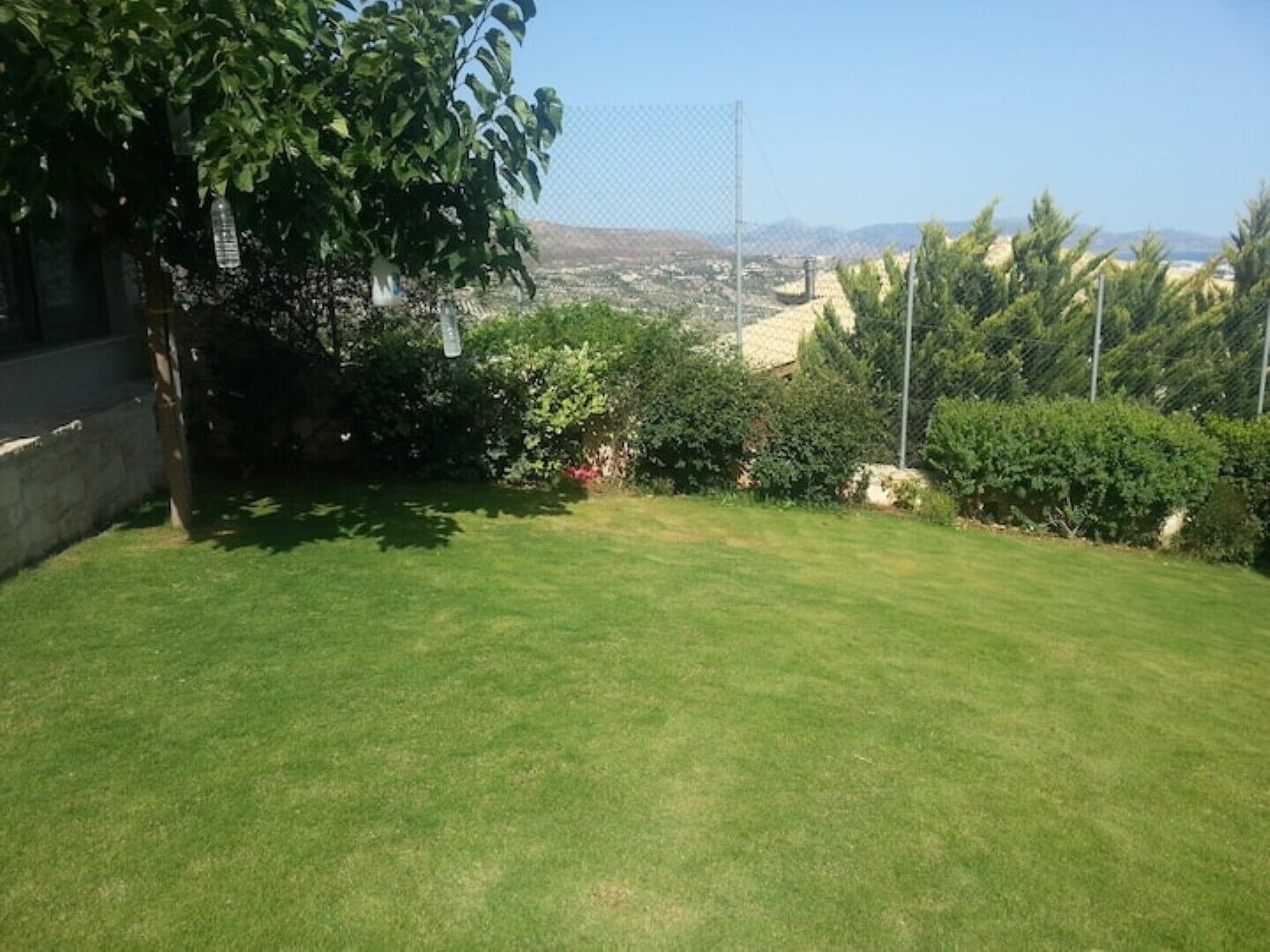A well-maintained grassy yard with a tree and a fence.