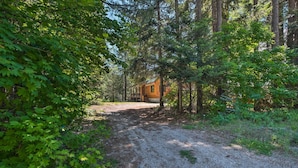 A rustic cabin surrounded by dense forest. - Secluded Leavenworth Cabin on Chiwawa River! (Leavenworth)
