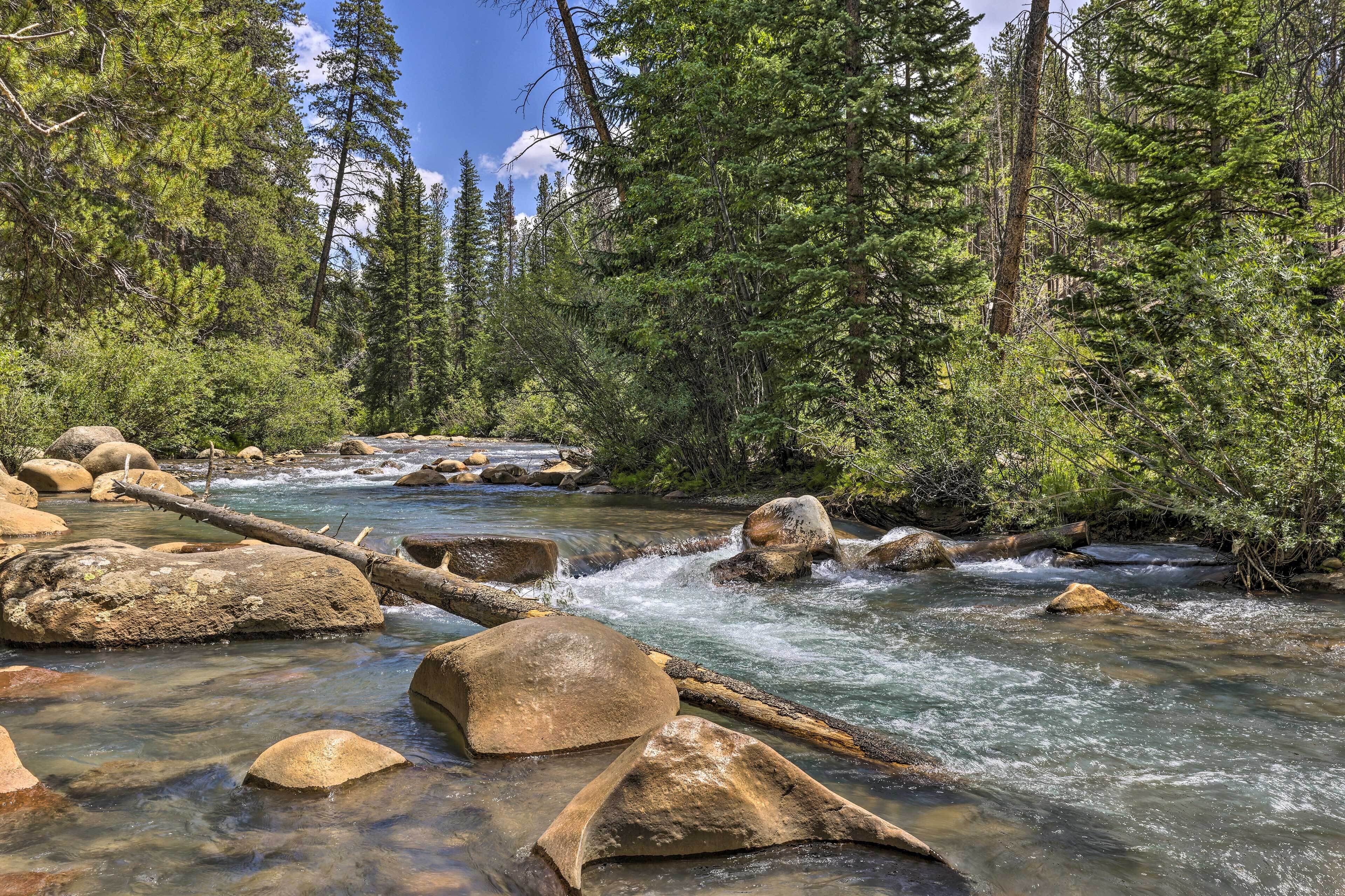A clear stream with rocks and trees in a forested area.