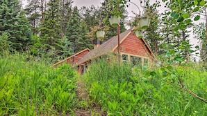 A rustic cabin surrounded by dense greenery and tall trees. - Creekside Morrison Cabin ~ 9 Mi to Red Rocks Park! (Morrison)