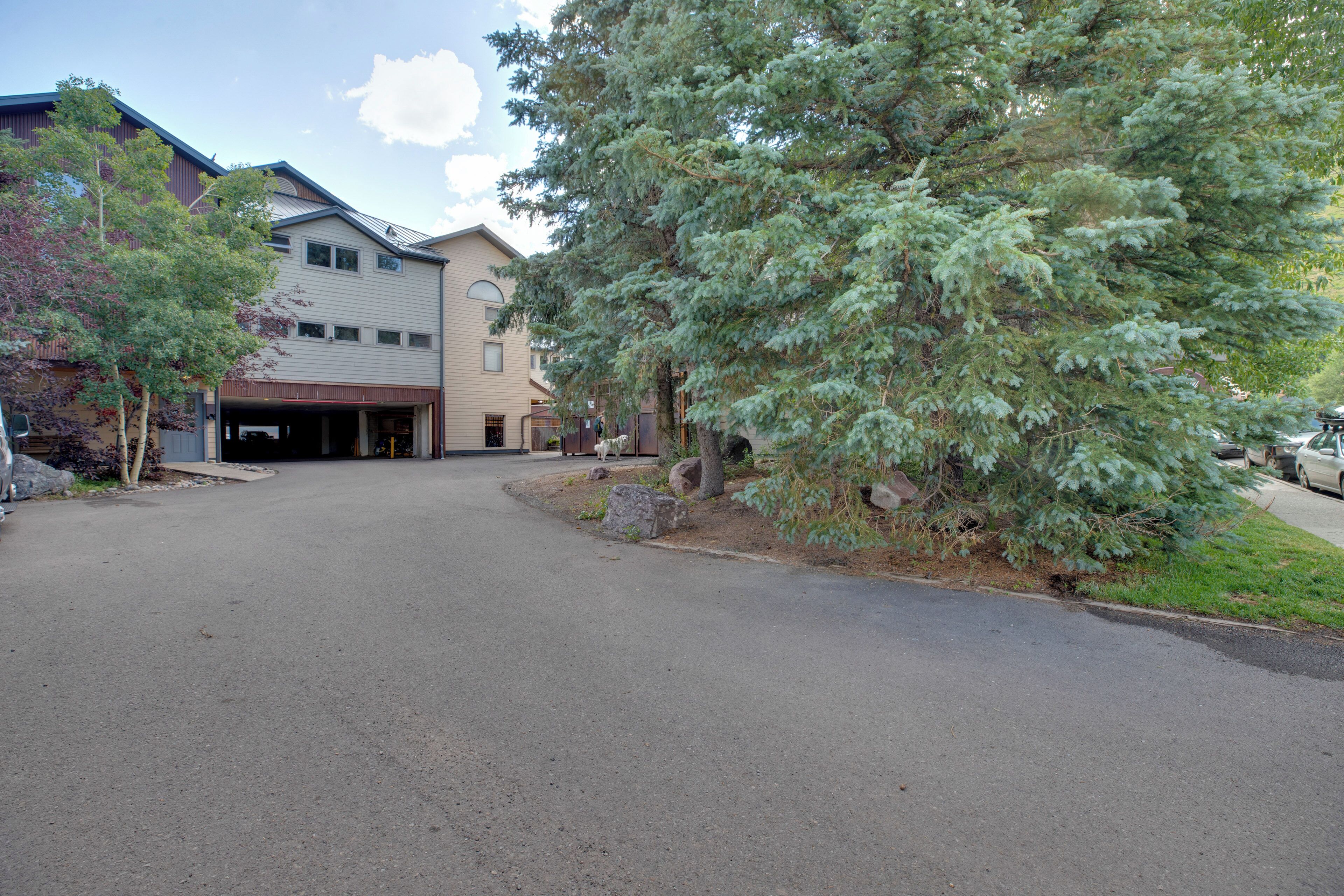A residential building with a garage entrance, a driveway, and a large evergreen tree.