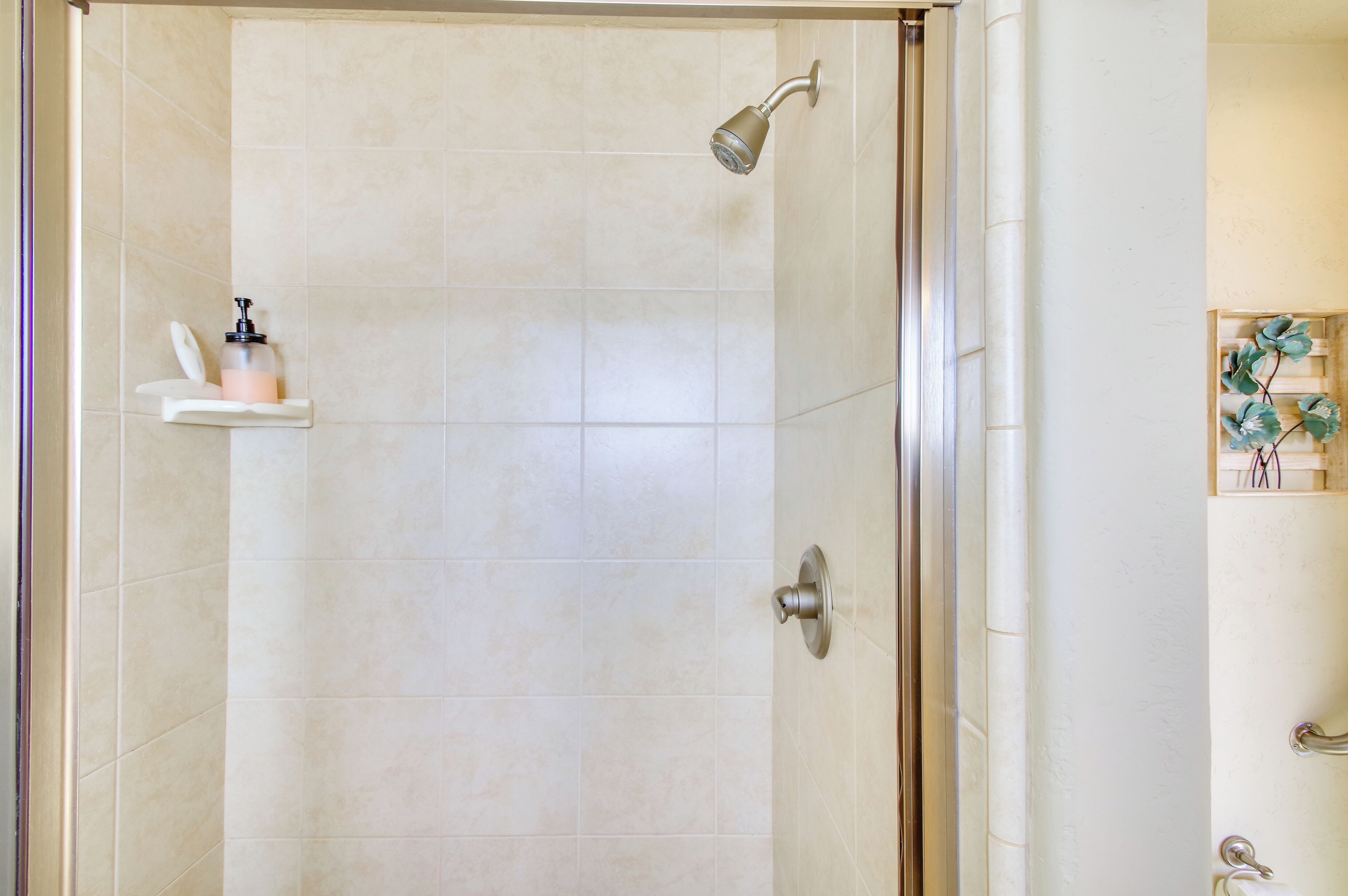 Eine Dusche mit Duschbrause und Seifenspender auf einem Regal.
