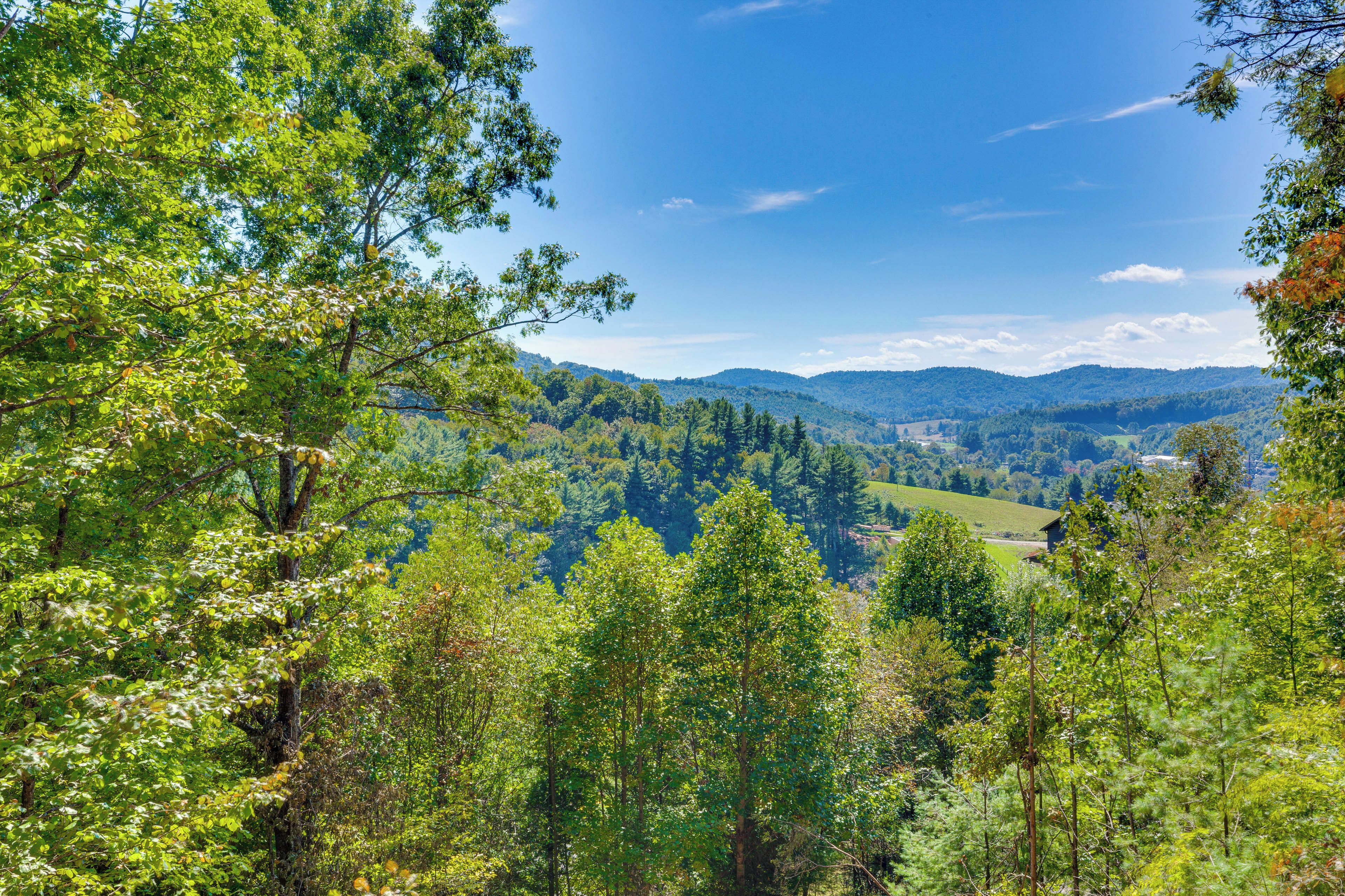 Un paisaje boscoso con vistas a colinas distantes.