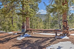 House (2 Bedrooms) | Interior - Cabin w/ Mtn Views - 5 Mi to Mueller State Park! (Divide)