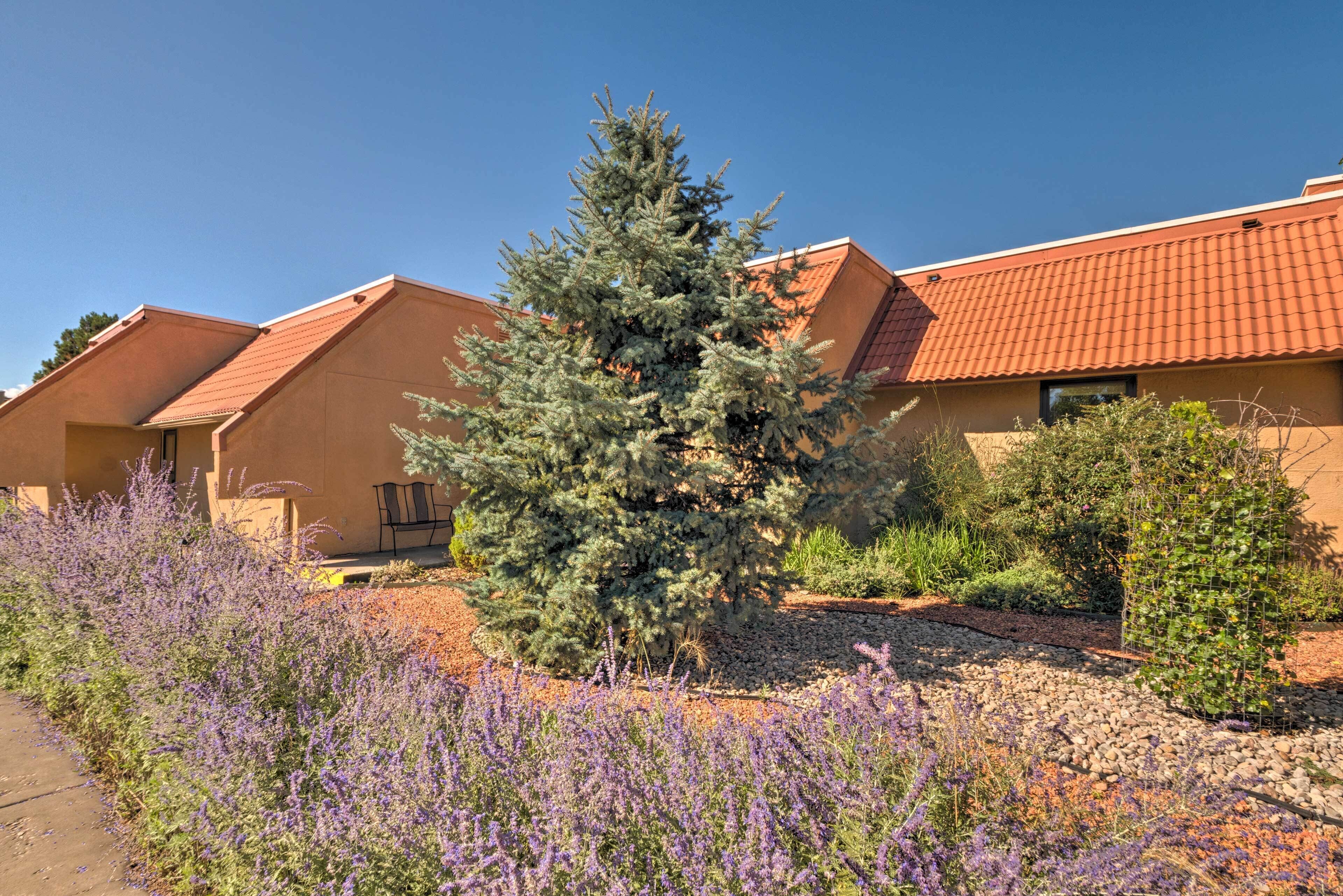 A building with a red-tiled roof and a well-maintained garden with lavender and a coniferous tree.