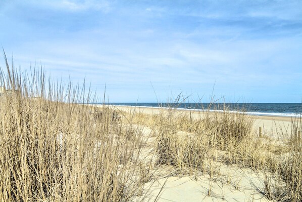 Apartment (3 Bedrooms) | Interior - Beachfront Ocean City Condo w/ 2 Balconies & Views (Ocean City)