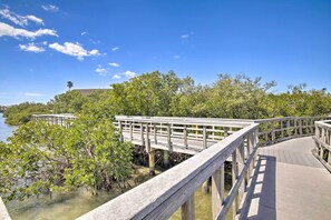 House (3 Bedrooms) | Interior - Indian Rocks Beach Oasis - 2 Blocks to Beach! (Indian Rocks Beach)