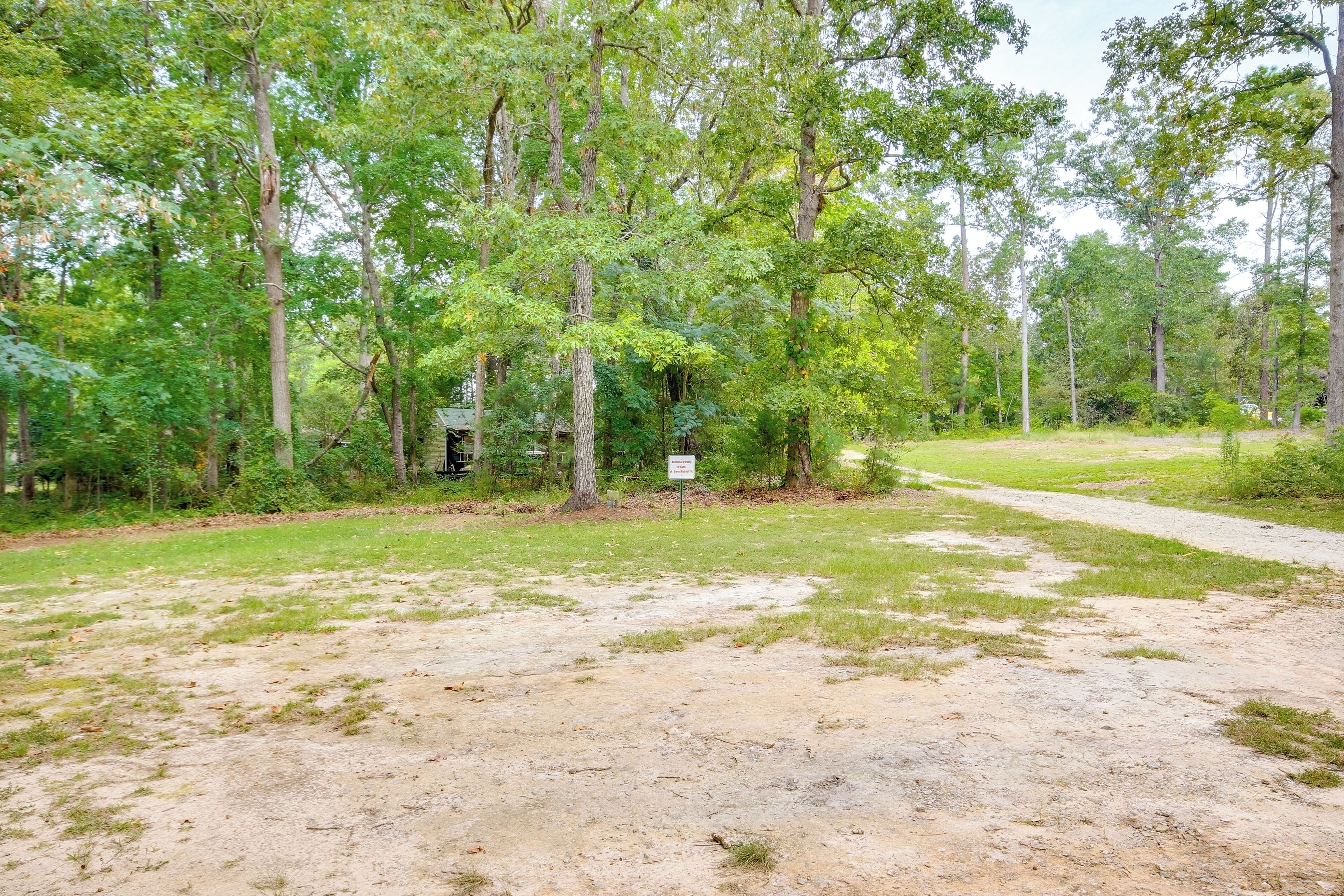 A natural outdoor area with a dirt path, surrounded by trees and greenery.