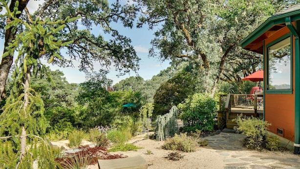 Un jardin avec un sentier de pierres menant à un banc en bois.
