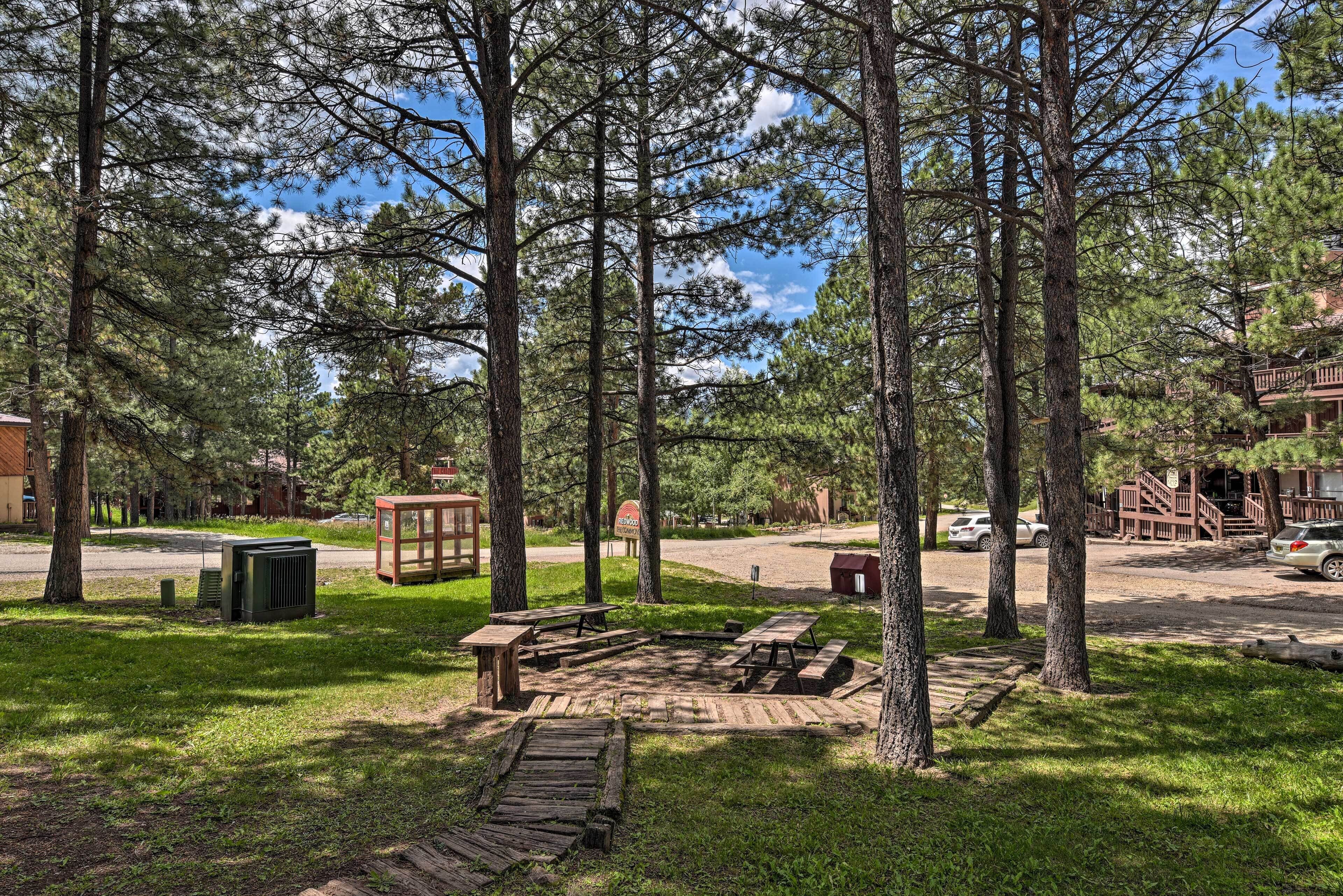 A picnic area with benches and a fire pit surrounded by tall pine trees.