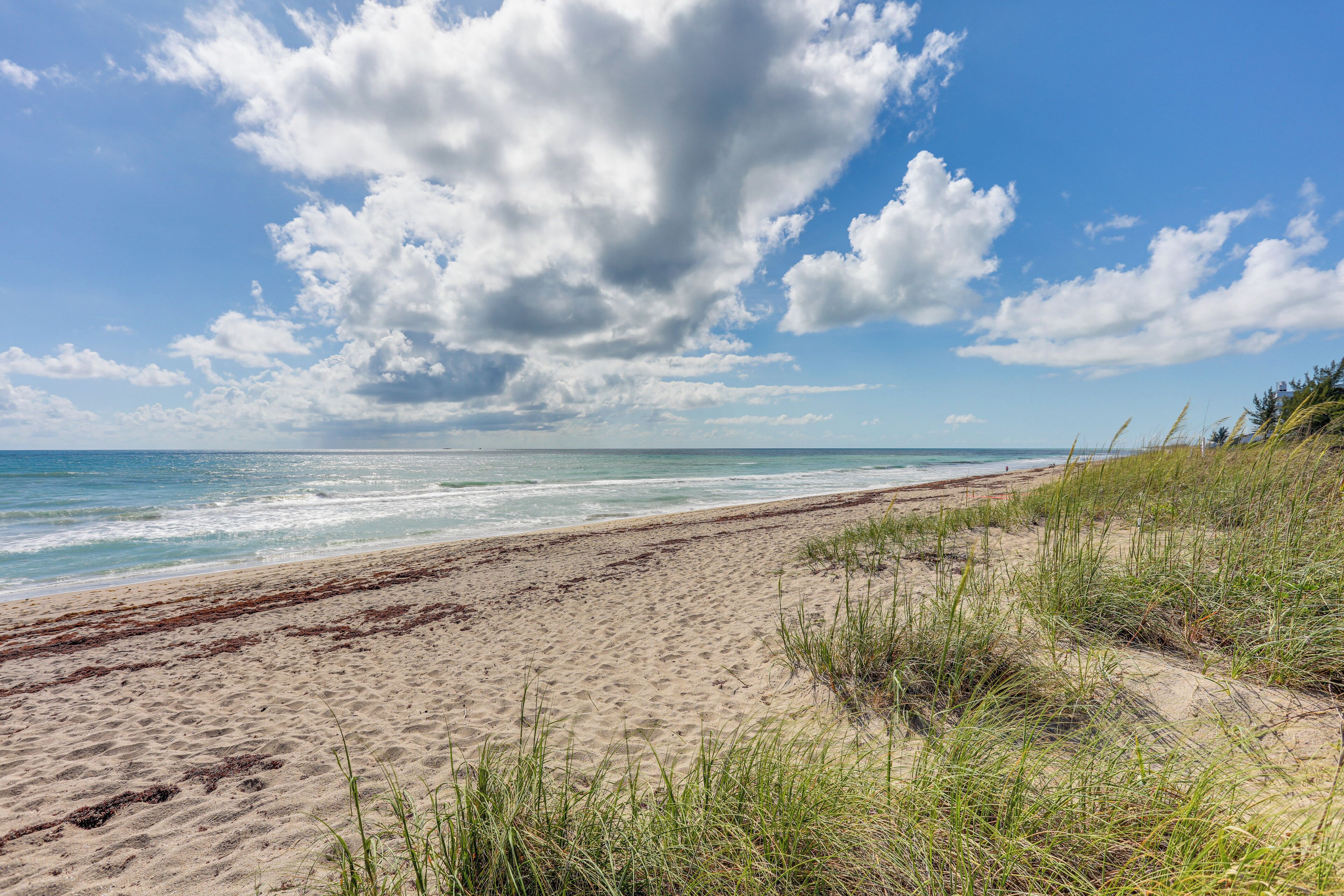 Una spiaggia sabbiosa con onde, dune erbose e un cielo parzialmente nuvoloso.