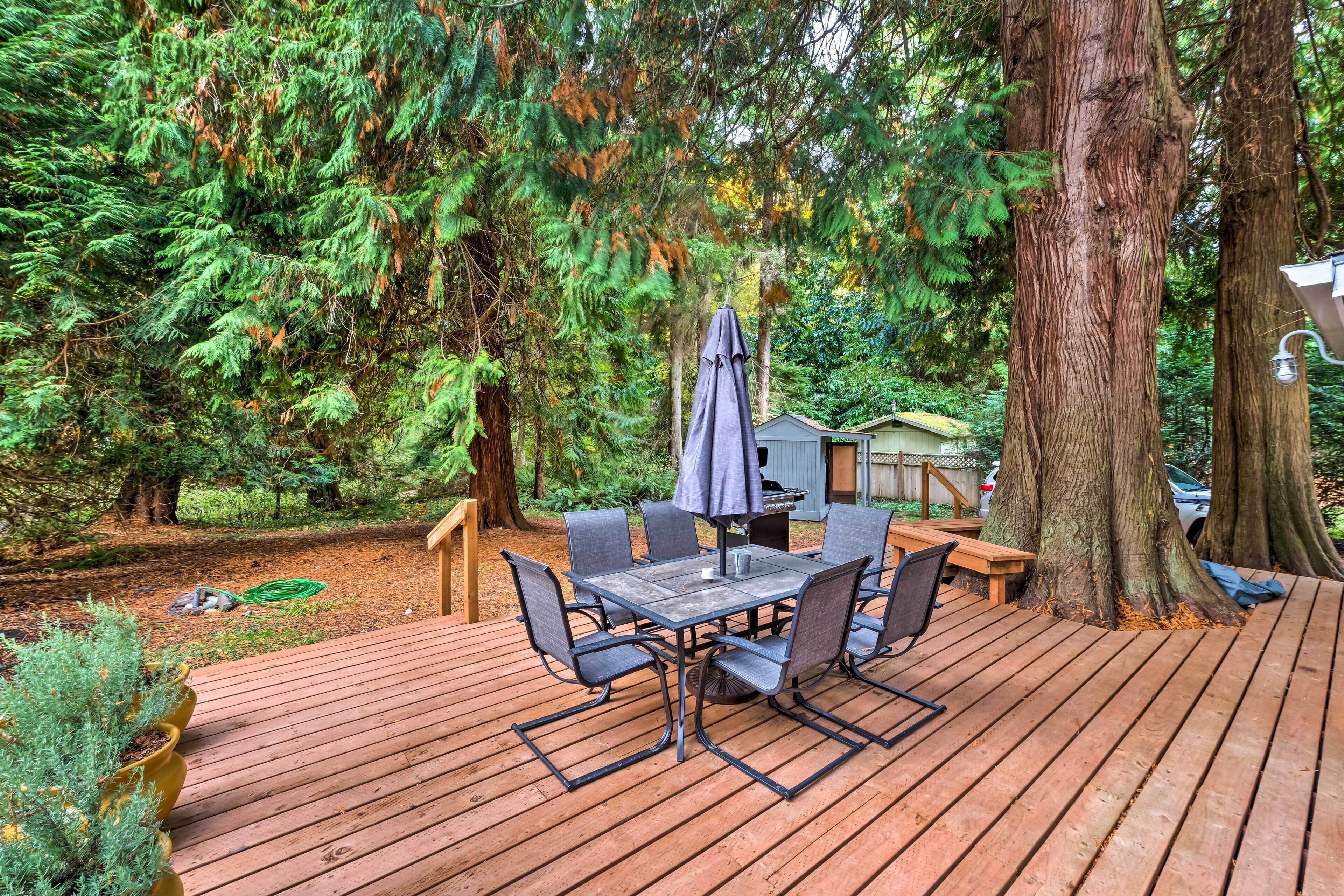 Een houten terras met een tafel en stoelen, omringd door bomen en een kleine schuur.