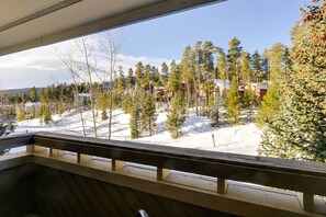 Apartment (2 Bedrooms) | Interior - Chic & Cozy Breck Condo: Ski-in/ski-out at Peak 8! (Breckenridge)