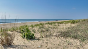 Una playa con dunas de arena, vegetación escasa y un cielo azul despejado.