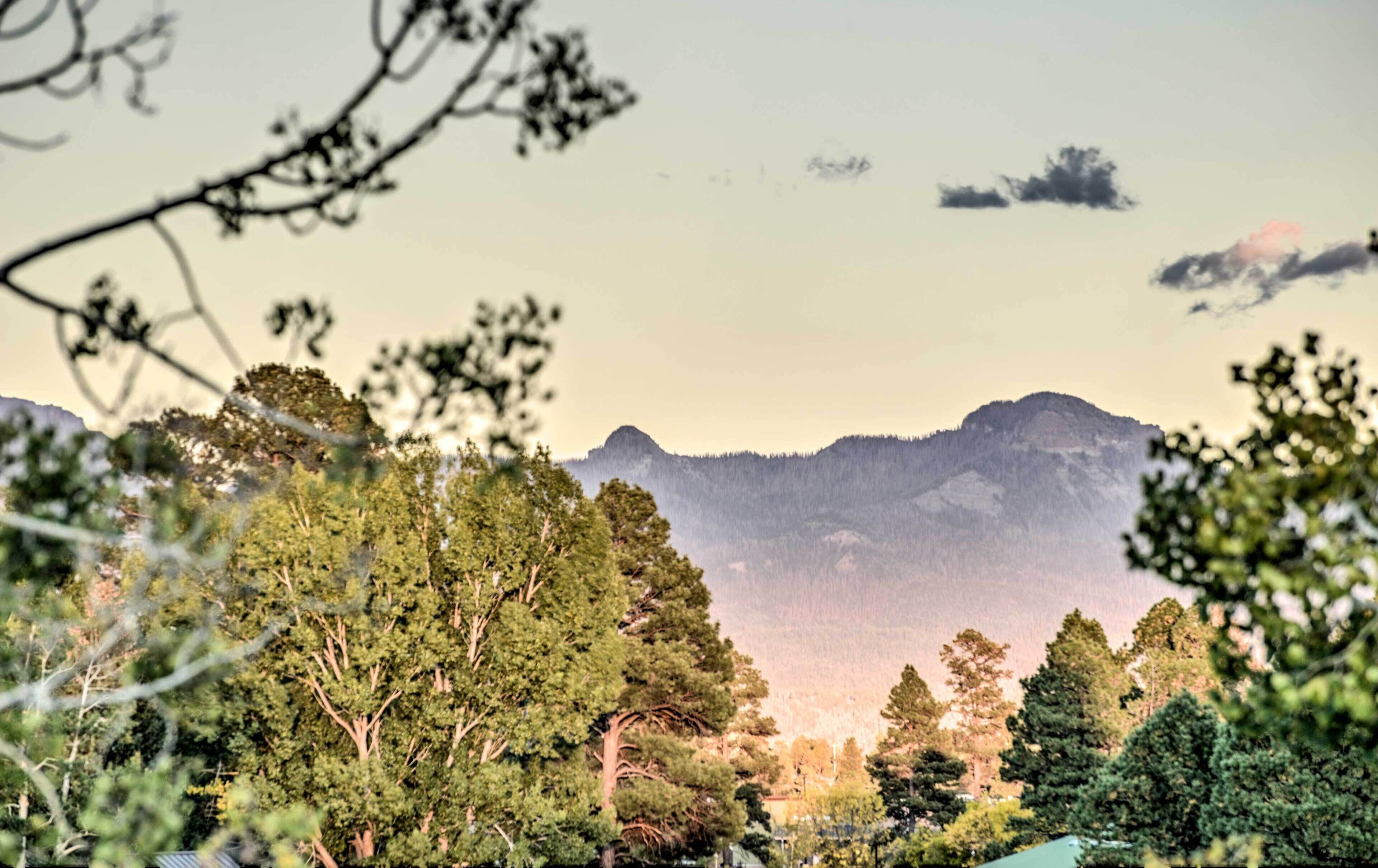 A mountainous landscape with dense forest in the foreground and a clear sky.