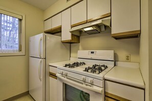 Microwave, oven, stovetop, dishwasher - Springfield Condo, Close to Museums! (Springfield)