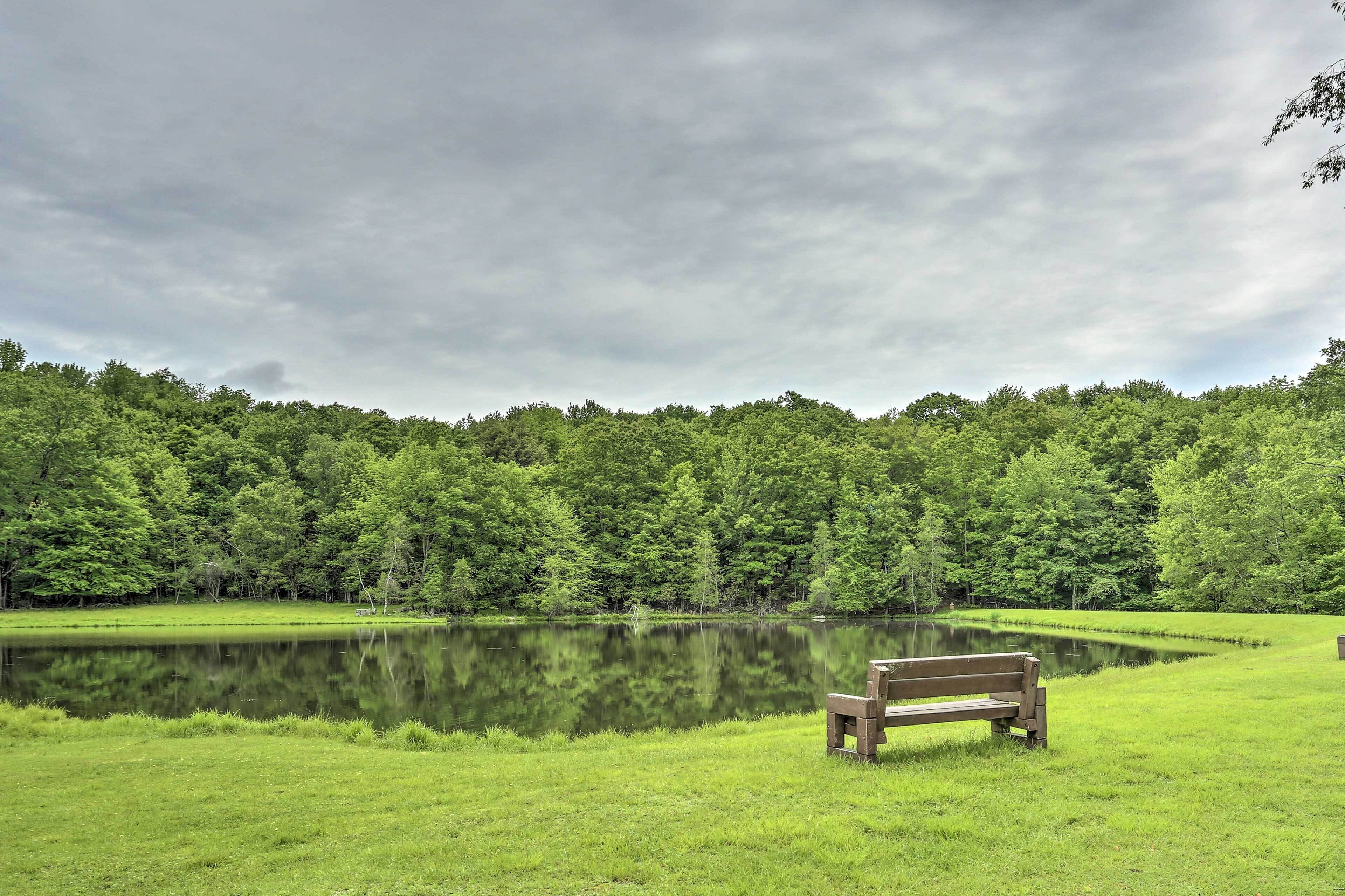 A park with a lake, a bench, and a forested area.