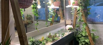 Gite a la Ferme Avec Jacuzzi et Piscine, Maison Privative