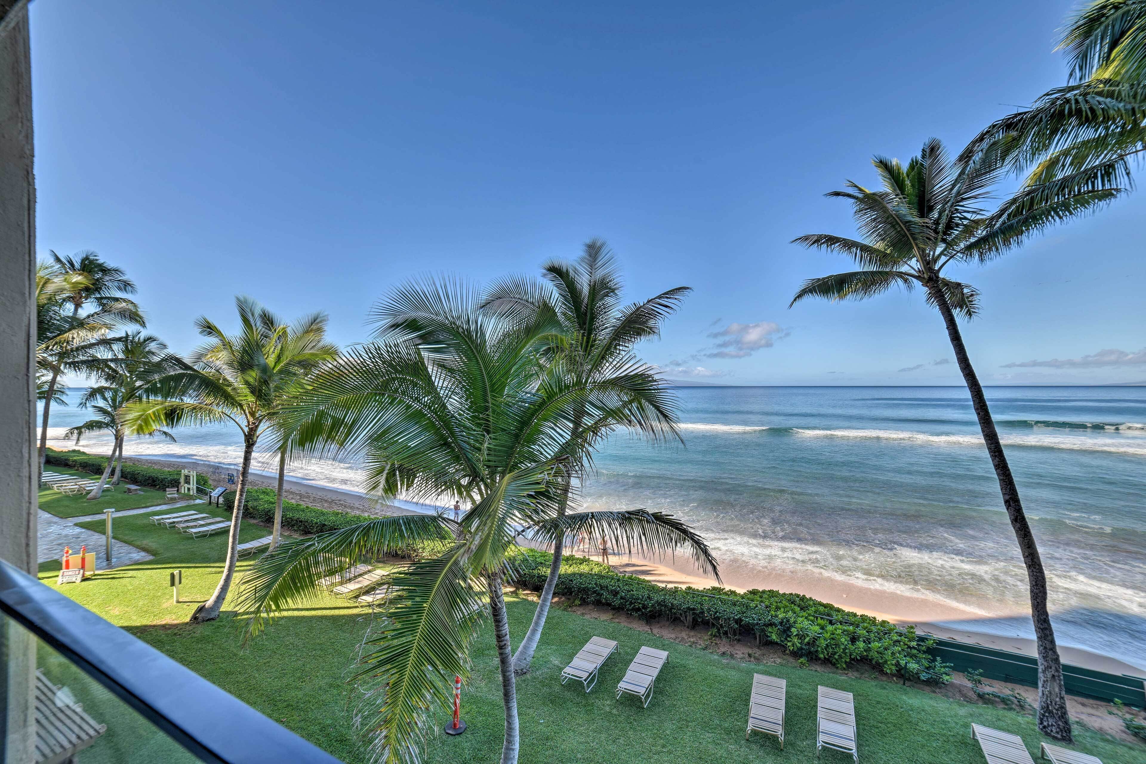 アパートメント (1 Bedroom) | 内装