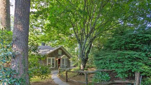 A rustic cabin with a thatched roof, surrounded by dense forest and a stone pathway leading to the entrance.