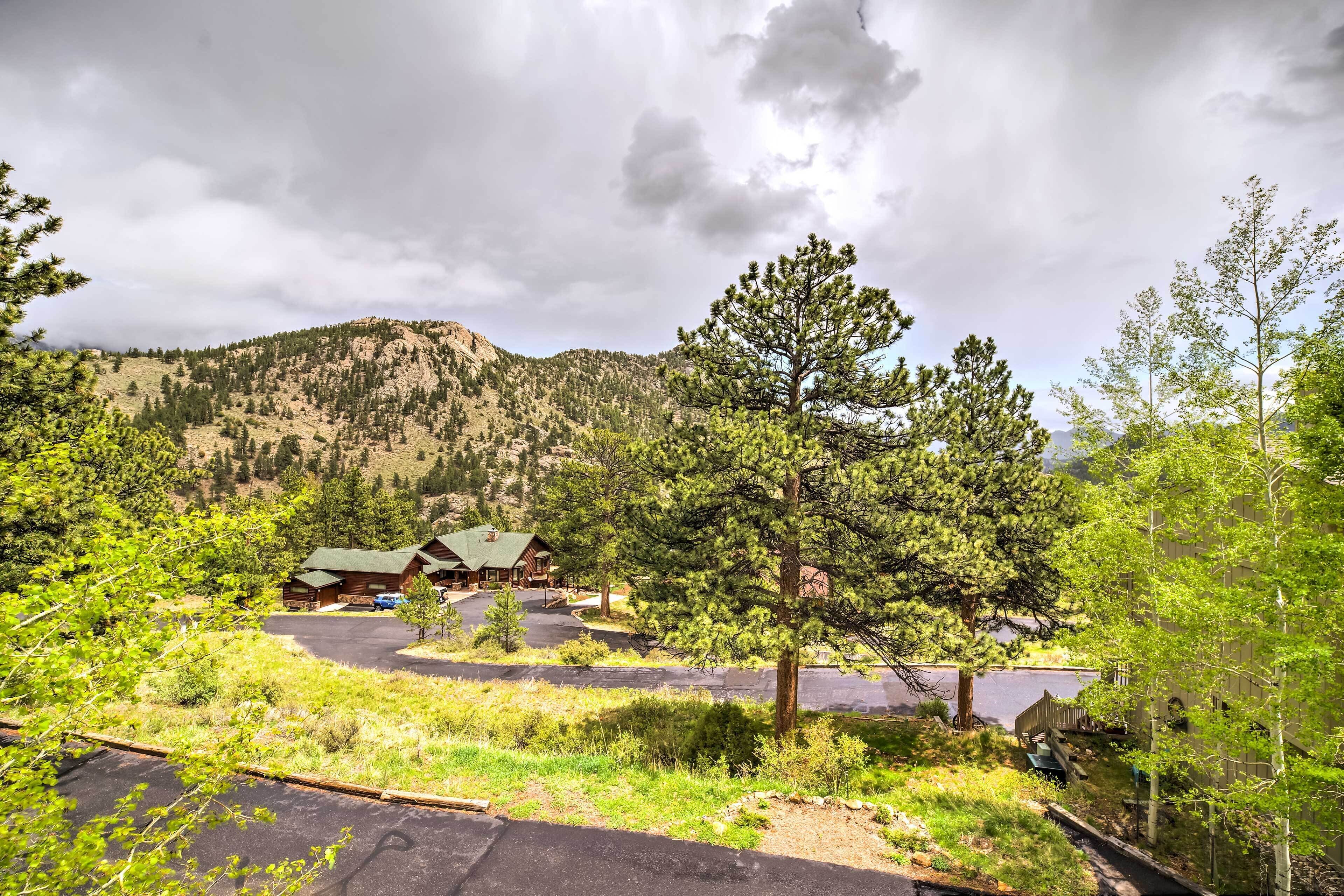 A lodge with a green roof, surrounded by a parking area and dense forest.