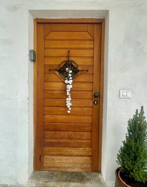 A wooden door with a decorative metal piece and a potted plant beside it.