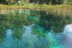 A clear water body with reflections of surrounding vegetation.
