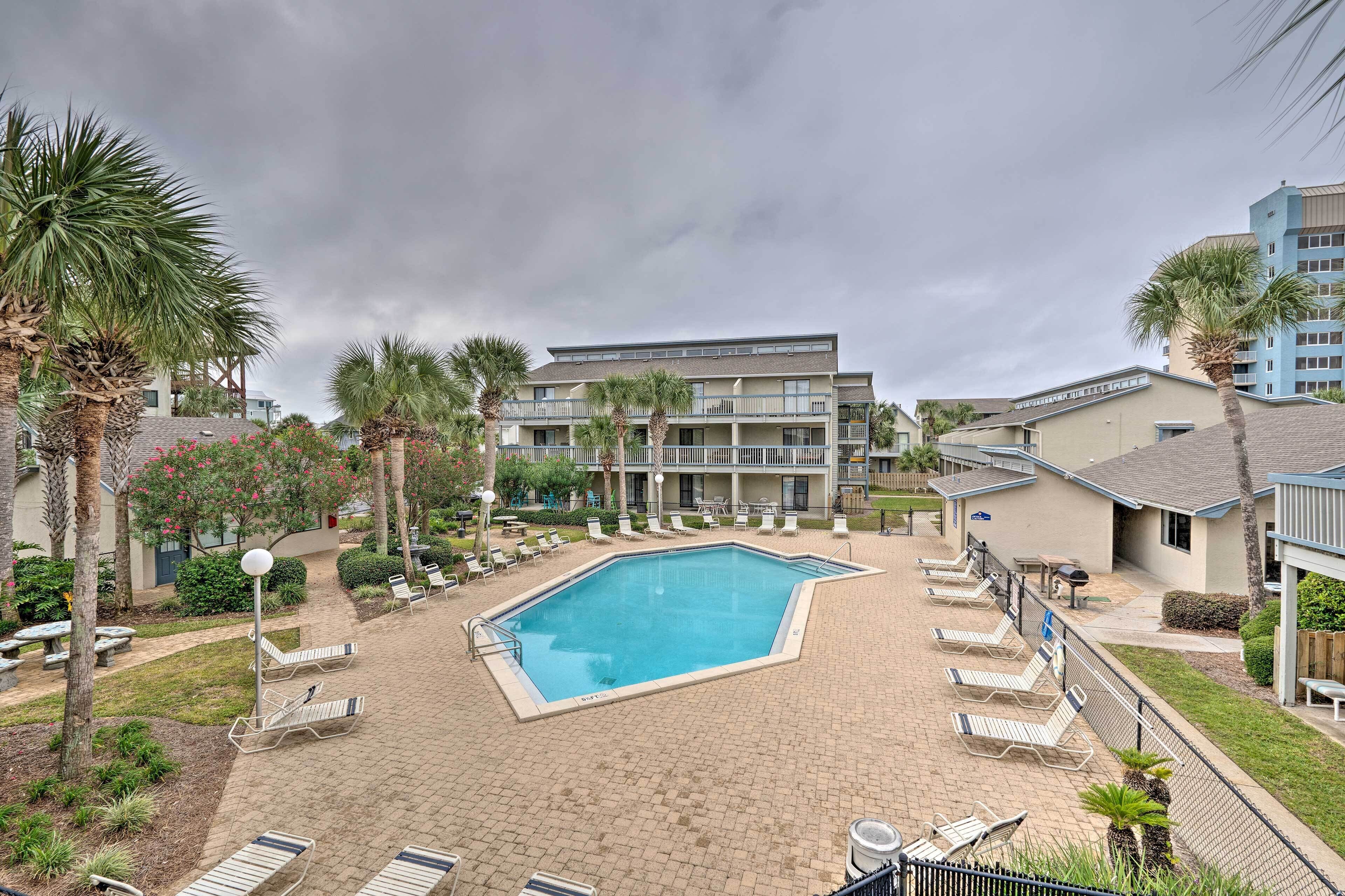 A swimming pool surrounded by lounge chairs and palm trees, with buildings in the background.
