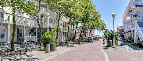A tree-lined street with buildings on either side, a clear sky, and a pedestrian walkway.