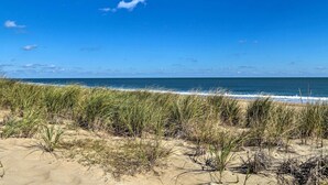 Una playa con arena y hierba en primer plano y un cielo azul despejado.