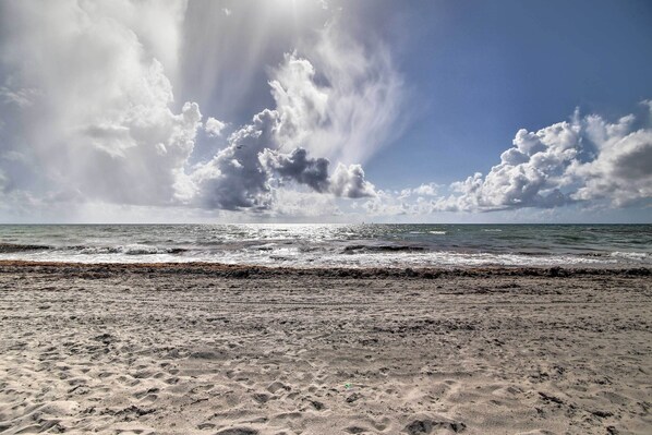 Apartment (0 Bedroom) | Interior - Pet-friendly Hollywood Oasis, Walk to Beach! (Hollywood)