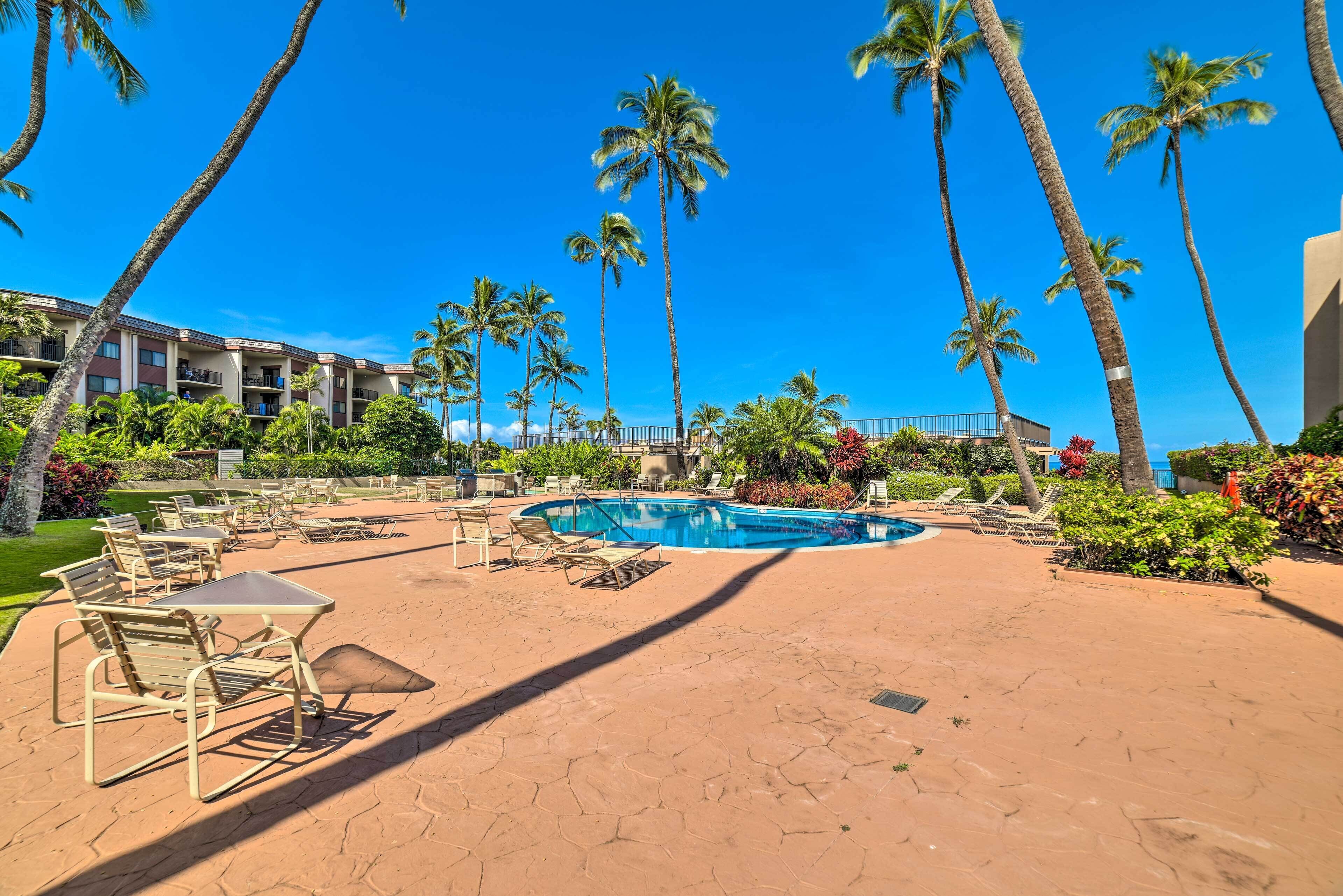 A resort pool area with lounge chairs and a swimming pool surrounded by palm trees.