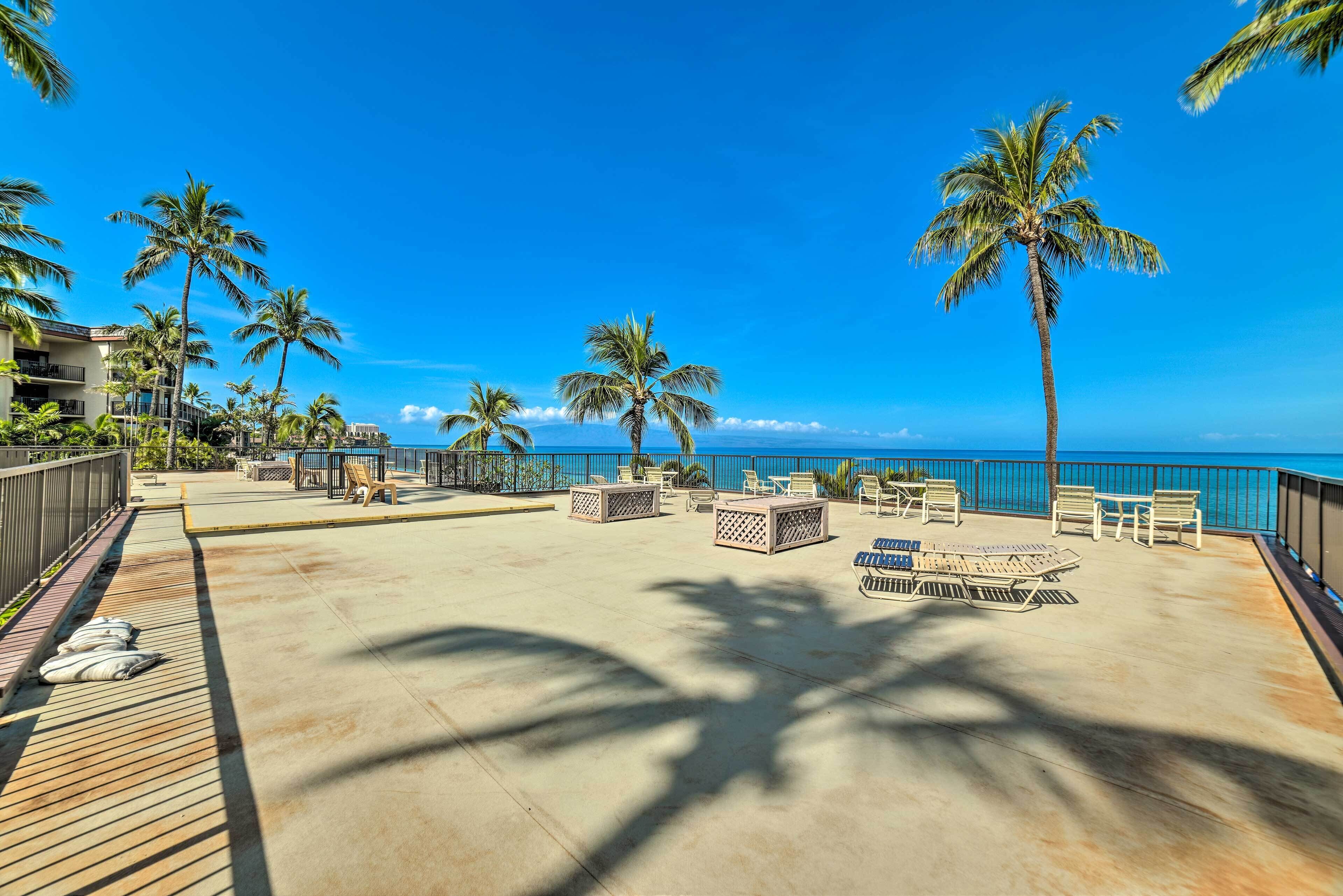 A beachside patio with lounge chairs and tables, palm trees, and a view of the ocean.
