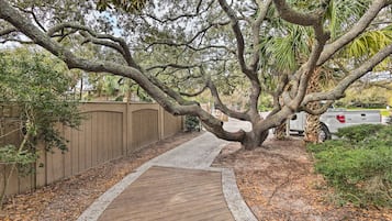 Villa (1 Bedroom) | Interior