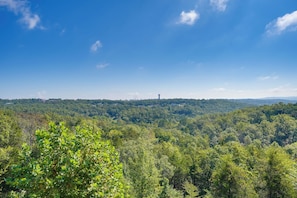 Un paysage boisé sous un ciel dégagé.