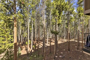 Interior - Cozy Ski Chalet < 3 Mi to Winter Park Resort! (Winter Park)