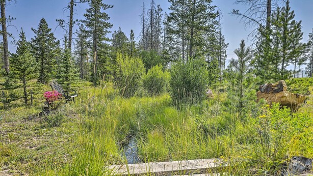 A natural landscape with a wooden bench, dense greenery, and a small stream. - Fraser Couple's Hideaway w/ Indian Peaks View (Fraser)