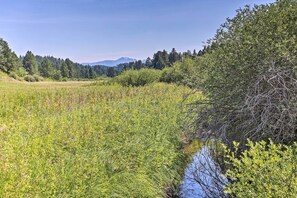 Interior - Idyllic Hill City Home - Hike, Bike & Atv! (Hill City)